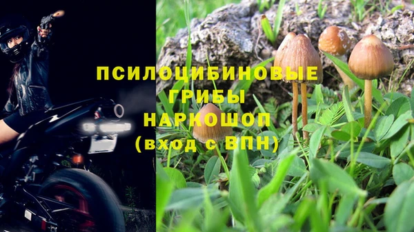 эйфоретик Алексеевка