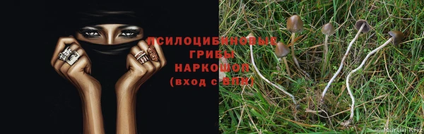 эйфоретик Абаза