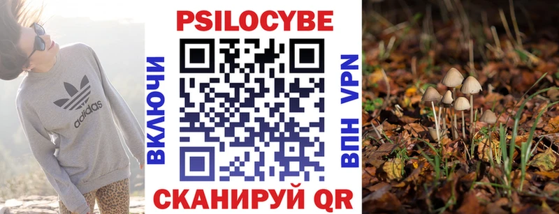 что такое наркотик  Власиха  Псилоцибиновые грибы ЛСД 